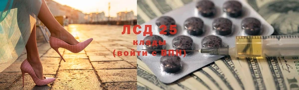 spice Карпинск