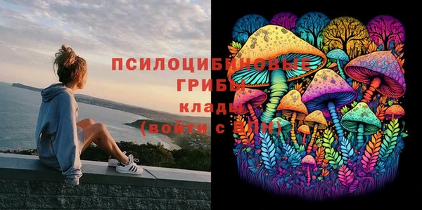 ECSTASY Карталы